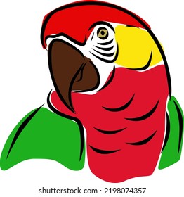 Vector illustration of a parrot