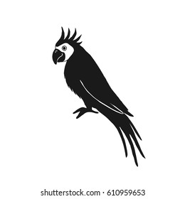 Vector illustration of parrot based on hand draw sketch. Organic contour. Black silhouette isolated on white. Great choice for t-shirt design, infographic, web-design, stickers, banners etc.