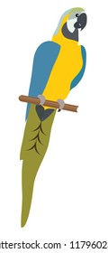 vector illustration of a parrot bird. wild, nature, zoo background.