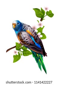 vector illustration of parrot blue with brown wings sitting on the label
