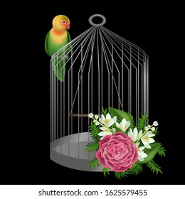 Vector illustration parrot cage empty rose flower small decorative bird sitting on a cage