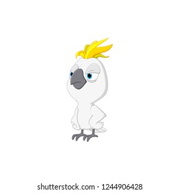 Vector illustration parrot cartoon