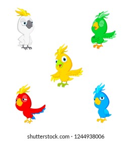 Vector illustration parrot cartoon