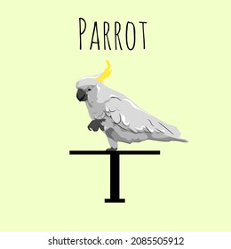 vector illustration of parrot design with artistic style of grey color for other designs eps 10