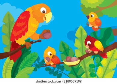 Vector illustration of the parrot eats nuts on the branches with its chicks