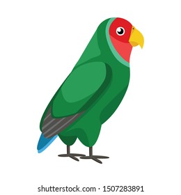 Vector illustration of parrot and green logo. Graphic of parrot and brazilian vector icon for stock.