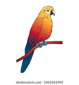 Ilustración vectorial de guacamayo loro en rama de árbol. Pájaro tropical con plumas de colores.