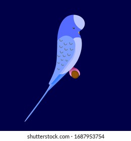 Vector illustration of a parrot on a blue background.
