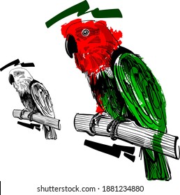 the vector illustration of the parrot on a branch 
