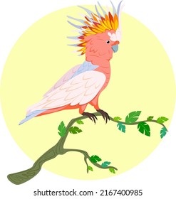 Vector illustration of a parrot on a branch. Beautiful tropical bird. Cockatoo