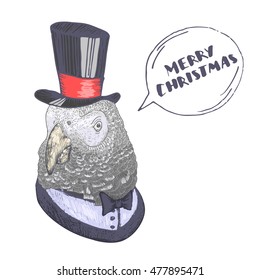 Vector illustration of parrot with quote Merry Christmas