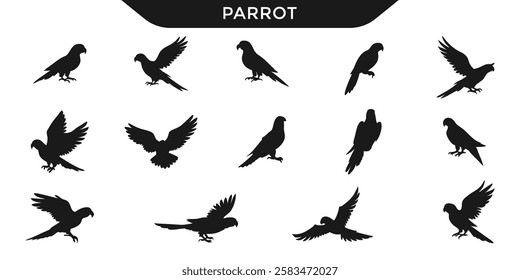 Vector illustration of  parrot silhouettes in different poses