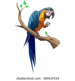Vector illustration of a parrot sitting on a tree branch. Made in low poly triangular style.