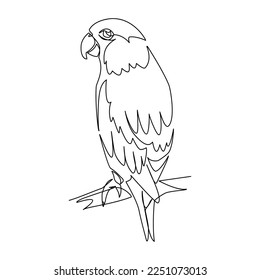 Vector illustration of parrots in line art style	