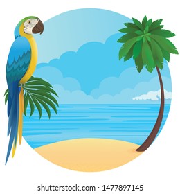 Vector illustration - Parrots, palm, sand, ocean on background. Tropical bird, clouds sky.