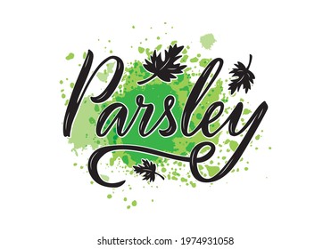 Vector Illustration Of Parsley Lettering For Packages, Product Design, Banner, Spice Shop Price List. Handwritten Word With Leaves For Web Or Print
