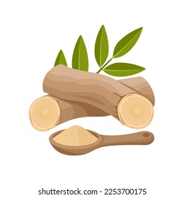 Vector illustration, Pasak Bumi root or Tongkat Ali, also called Longjack, scientific name Eurycoma longifolia, isolated on white background.