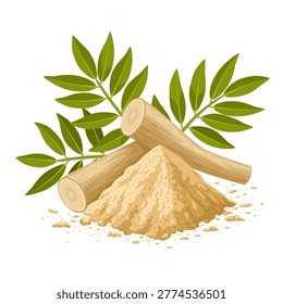 Vector illustration of Pasak Bumi root or Tongkat Ali, also called Longjack, scientific name Eurycoma longifolia, isolated on white background.
