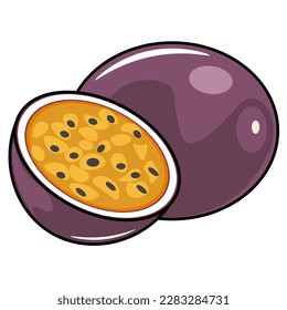 vector illustration of passion fruit
