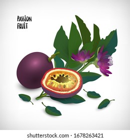 Vector illustration. Passion fruit with blossoming branch. Plant flowers with leaves and fruits isolated on vignette background.  Elements for web design or print.