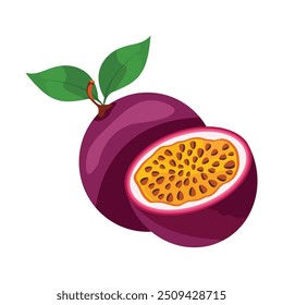 Vector illustration of passion fruit. Passion fruit cut in half. Juicy fruit Pro Vector