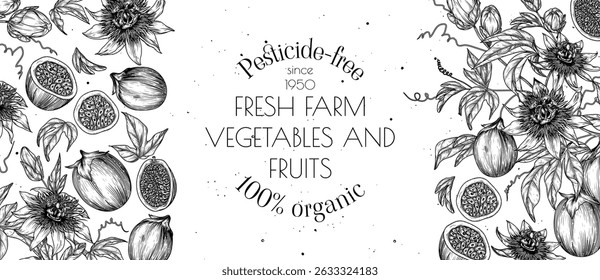 Ilustração vetorial de um jardim de maracujá com frutas, folhas e flores em estilo de gravação. Frutos frescos de fazenda. Agricultura biológica. Banner nutricional, alimentação saudável