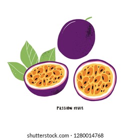 Vector illustration of passion fruit. Hand drawn vector with print passion fruit. Fresh juicy summer print. 