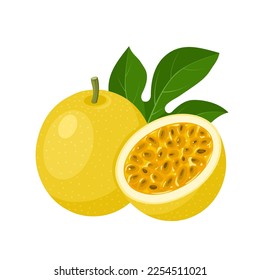 Vector illustration, passion fruit or Passiflora edulis, isolated on white background.