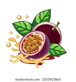 Vector illustration, passion fruit or Passiflora edulis, with splashes of juice.Vector illustration isolated on white background.