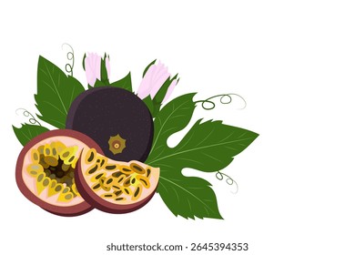 Vector illustration of passion fruit (Passiflora edulis) with one cut showing yellow seeds surrounded by green leaves and pink flowers on white background.