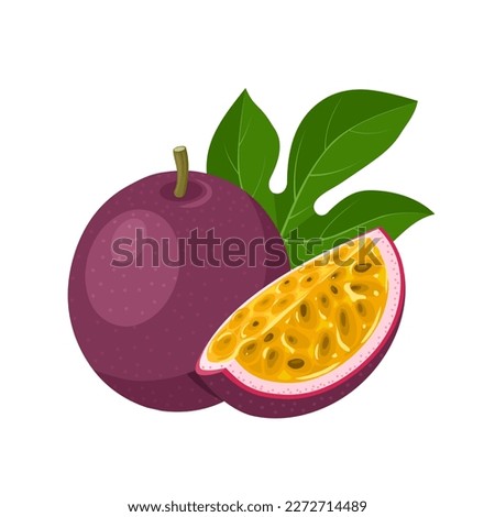 Vector illustration, passion fruit or Passiflora edulis, isolated on white background.