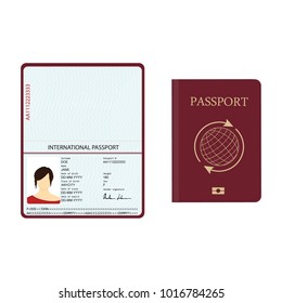 pasaporte de ilustración vectorial con datos biométricos. Documento de identificación.  plantilla de pasaporte internacional con página de datos personales de ejemplo