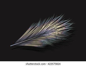 Vector illustration of the pastel feather.