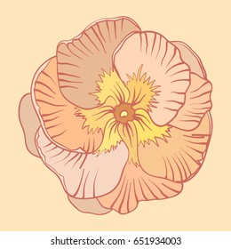 vector illustration pastel flower