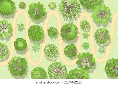 Vector Illustration. A Path In The Forest. Top View. Different Trees And Plants. View From Above. 