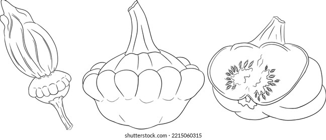 Ilustración vectorial de una satisfacción. Escuadrón de los tambores metálicos aislado en un fondo blanco. Colores de páginas con verduras. Calabaza en forma de plato