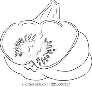 Vector illustration of a patisson. Patty pan squash isolated on white background. Coloring pages with vegetable. Dish-shaped pumpkin