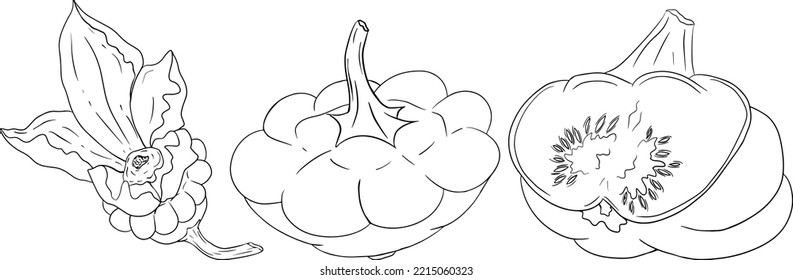 Ilustración vectorial de una satisfacción. Escuadrón de los tambores metálicos aislado en un fondo blanco. Colores de páginas con verduras. Calabaza en forma de plato