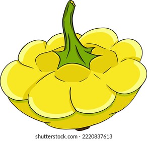 Vector illustration of a patisson. Patty pan squash isolated on white background. Dish-shaped pumpkin