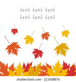 Vector illustration pattern of autumn leaves