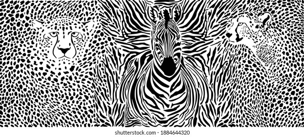 vector illustration pattern background cheetahs and zebra skins