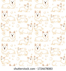 vector illustration pattern with corgi dogs