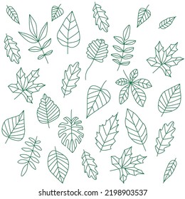 Vector illustration pattern drawing sketch. Organic botanical tropical flower garden