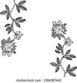Vector illustration pattern of flower frame on a backdrop hand drawn