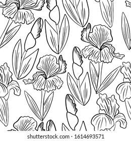 
vector illustration pattern flowers irises dark outline coloring on a white background