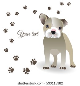 Vector illustration of a pattern. Little cute puppy and traces. Space for your text.