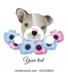 Vector illustration of a pattern. Little cute puppy and flowers anemone. Space for your text.