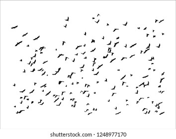 Vector illustration pattern of many black bird silhouettes flying in sky spreading wings, isolated o white background