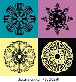 Vector illustration - the pattern in the Rococo and Baroque styles with elements of flowers and leaves