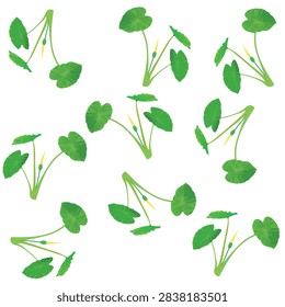 Vector illustration pattern of a taro plant with green leaves and a yellow flower isolated on a white background. (Colocasia esculenta or elephant ear)